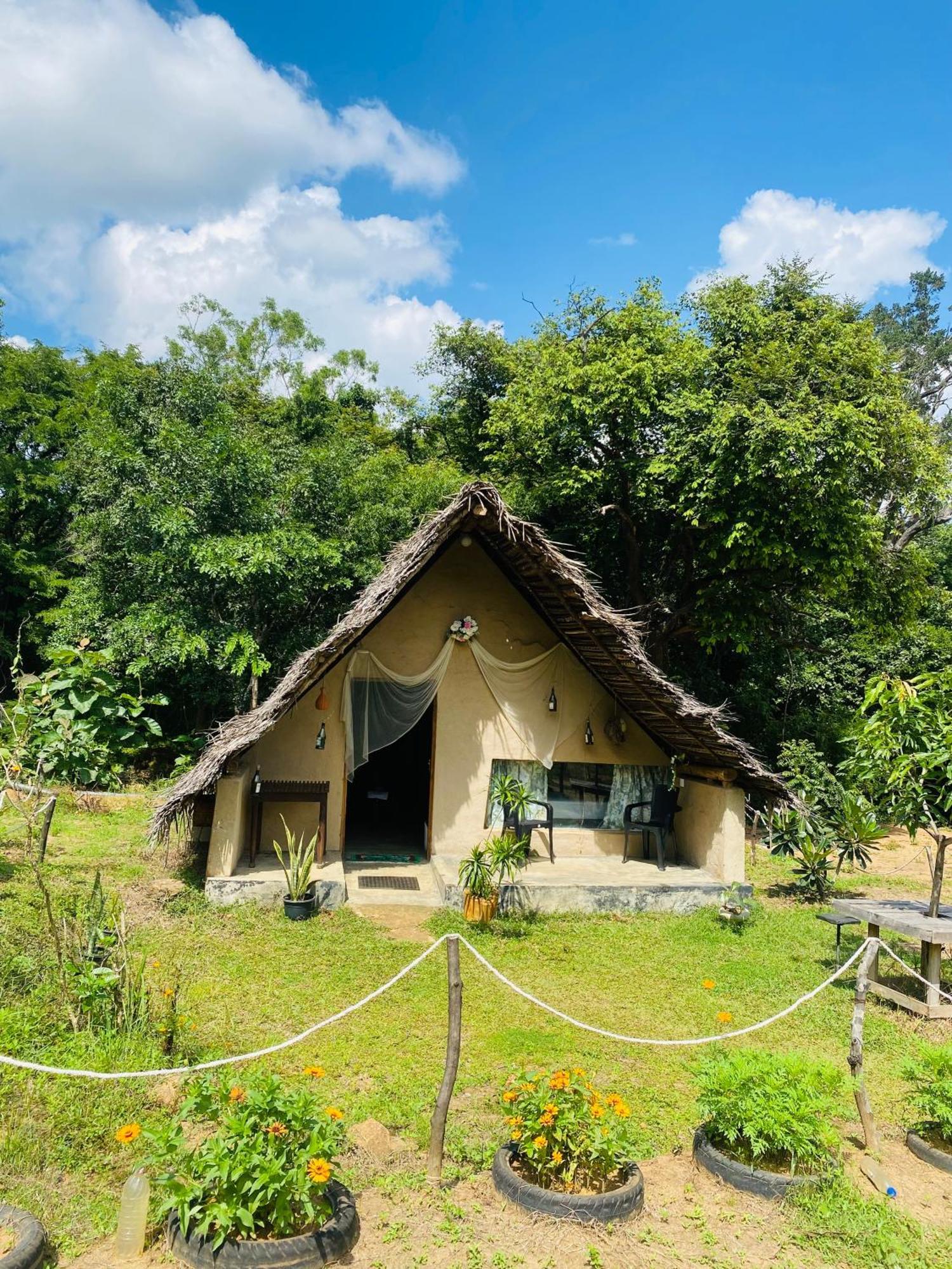 The Forest Edge Resort Dambulla Exteriör bild